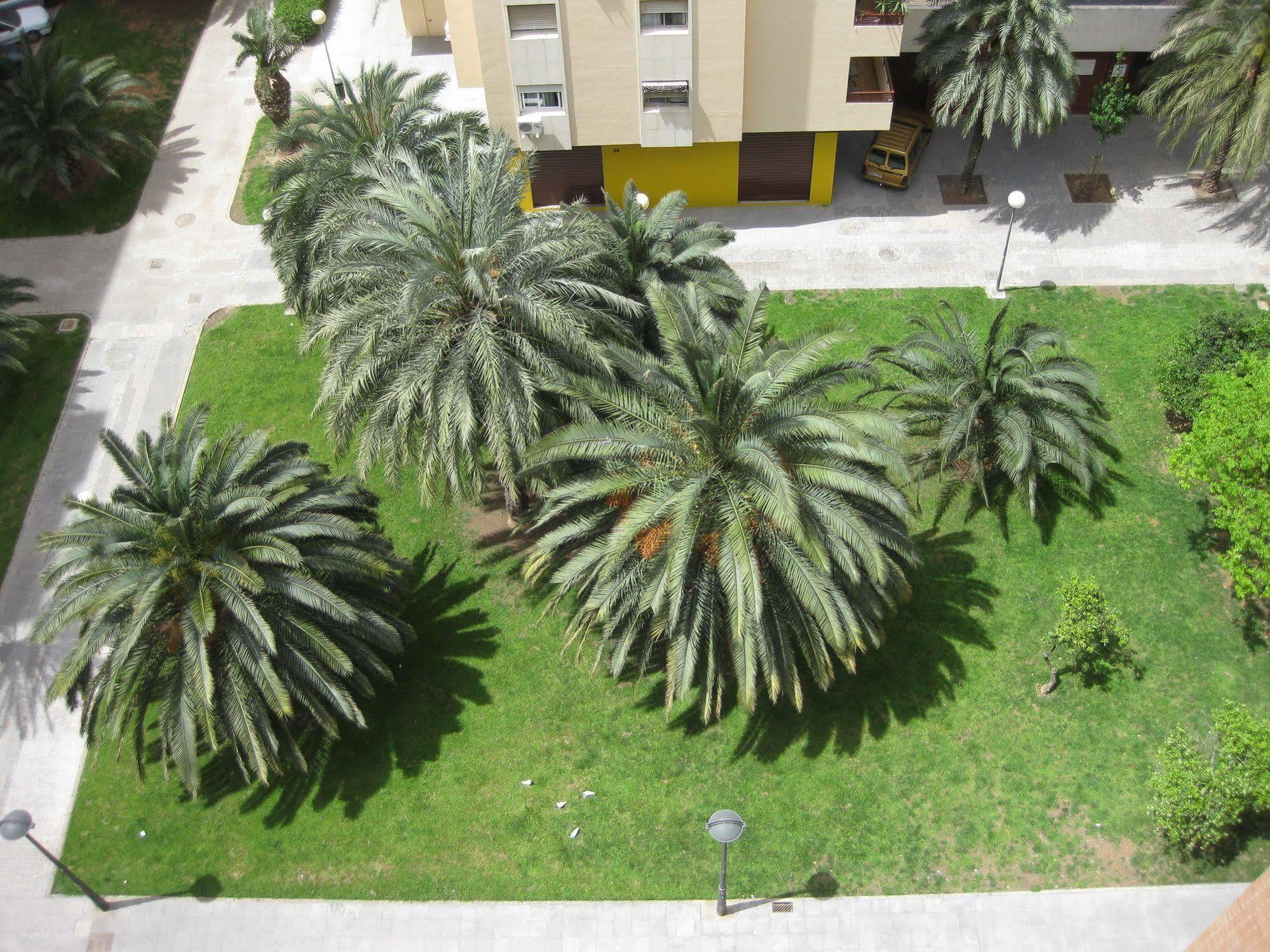 Plaza Picasso Appartamento *